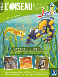 Couverture de L'Oiseau Mag junior n°48